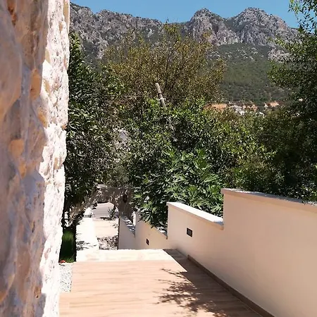 7 *