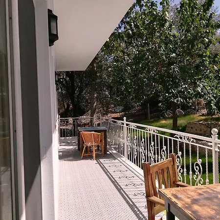 7 * Kaş
