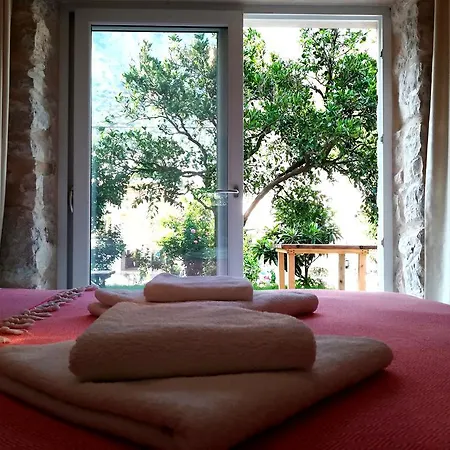 7 * Kaş