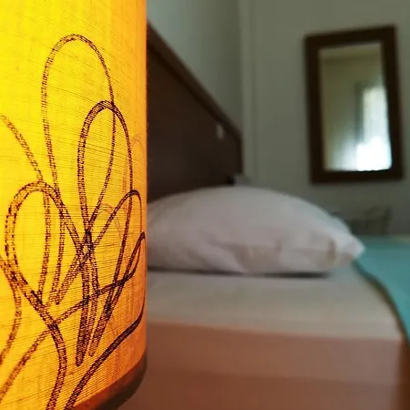 Bed & Breakfast 7