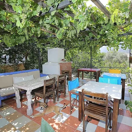 Bed & Breakfast 7 *